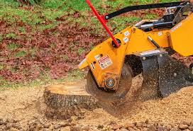 Best Commercial Tree Services  in Fairview Shores, FL